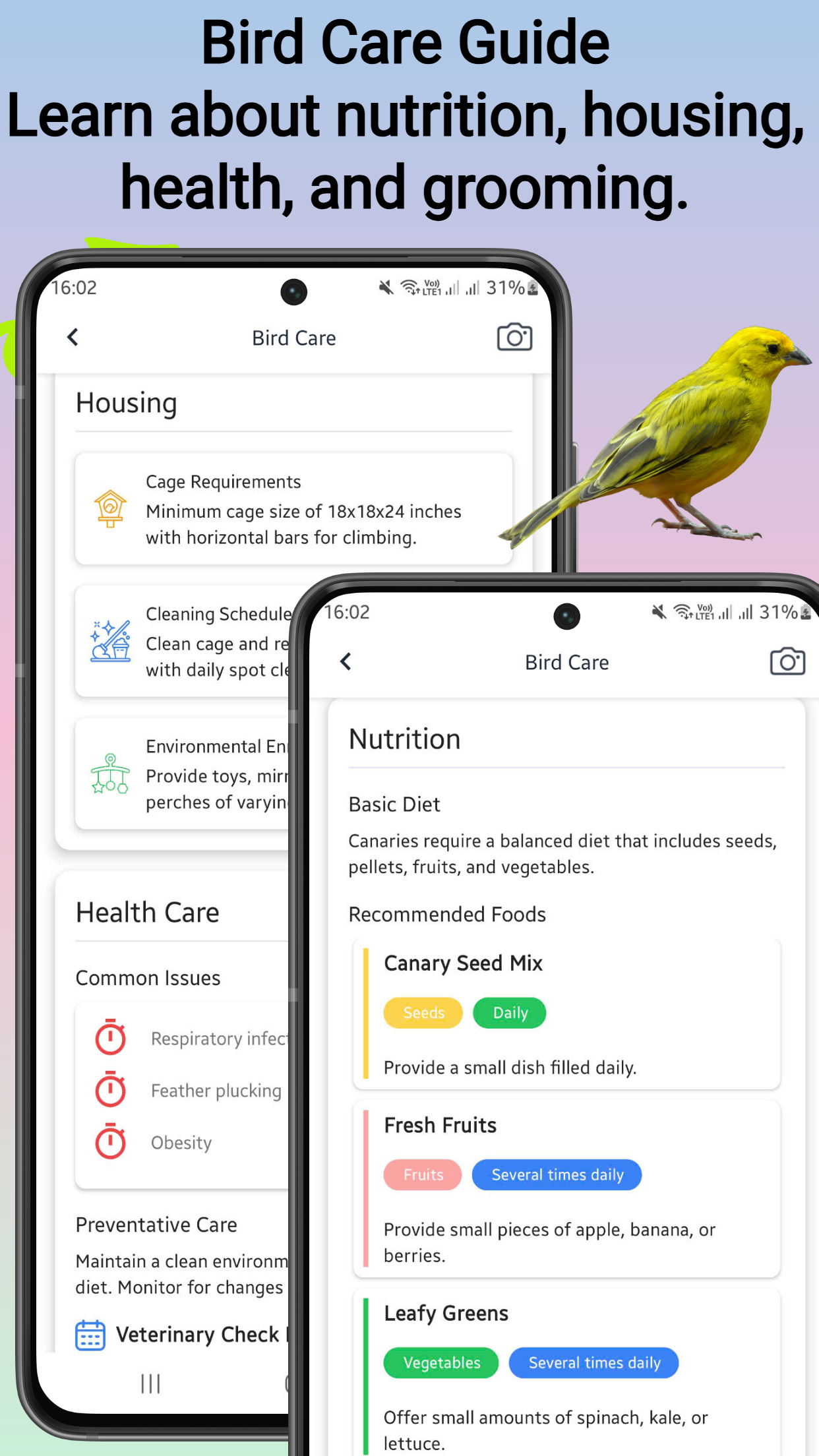 Bird identifier screenshot 4