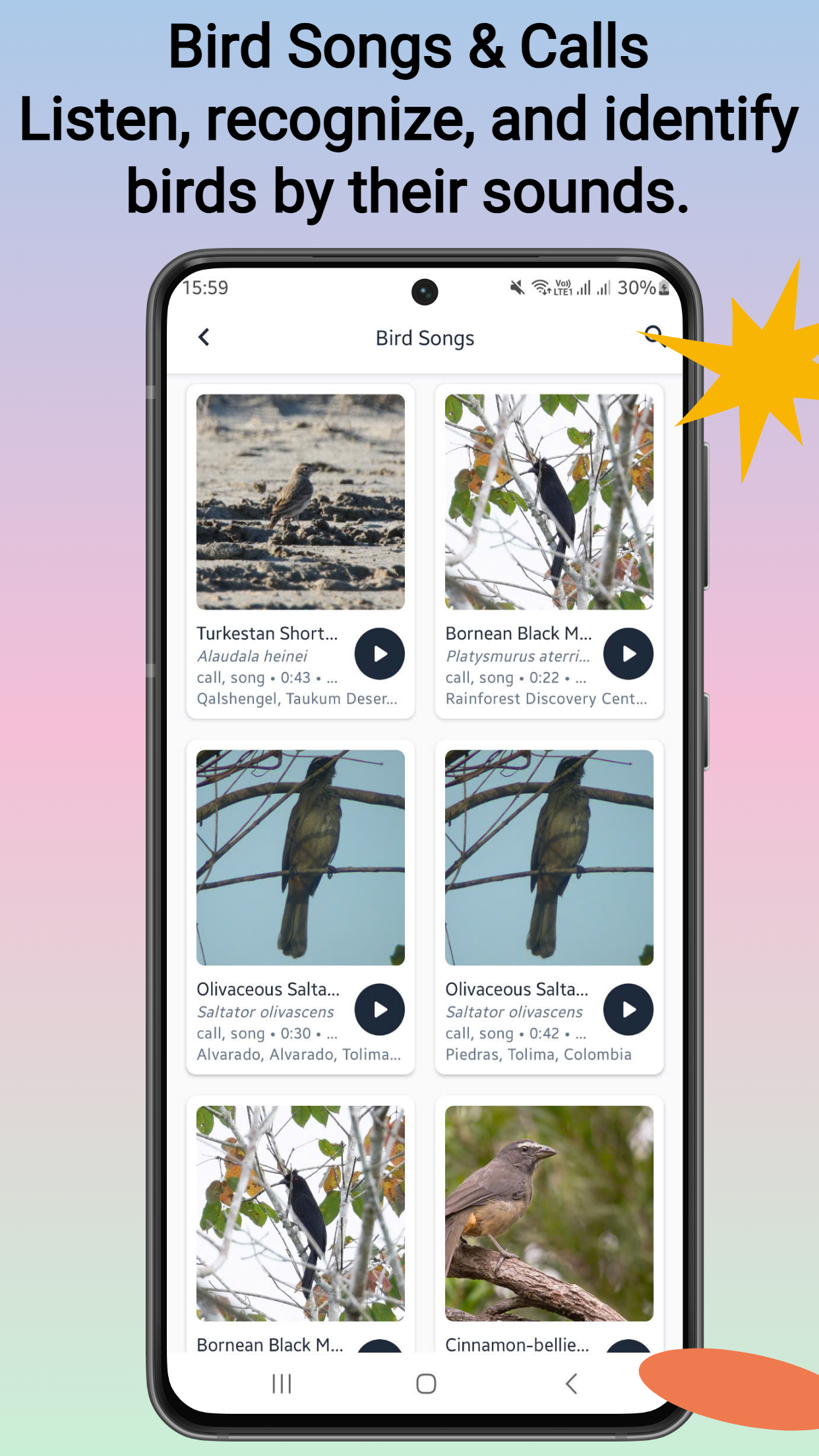 Bird identifier screenshot 3