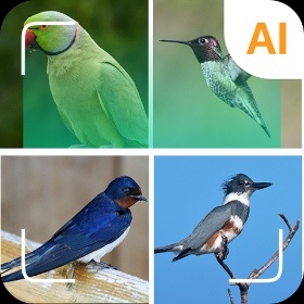 Bird identifier