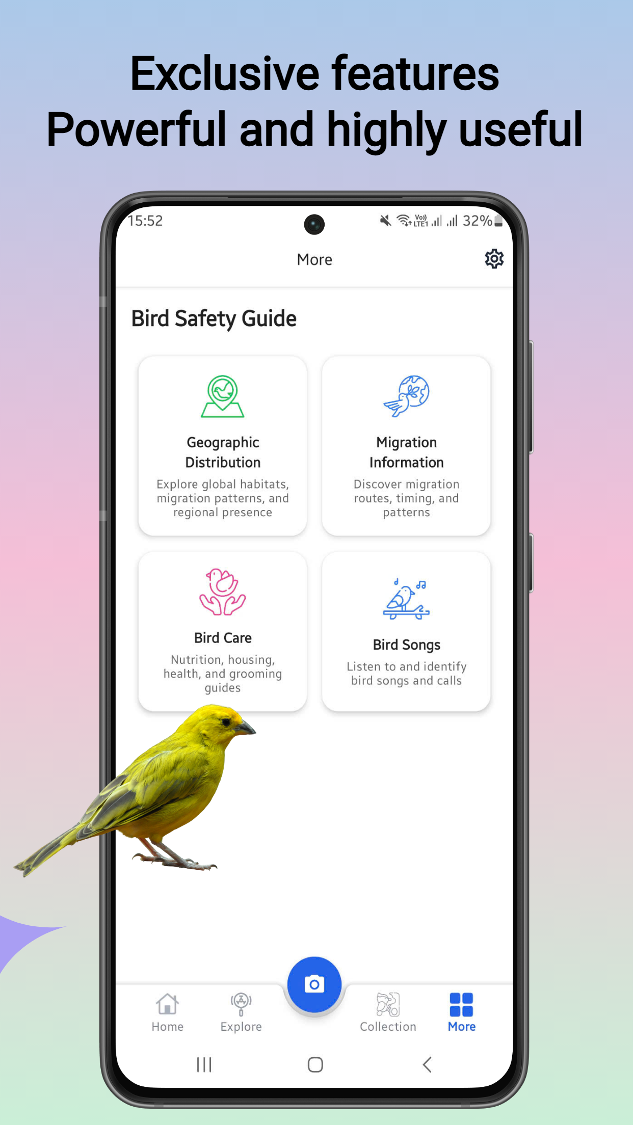 Second screenshot of the bird identifier app