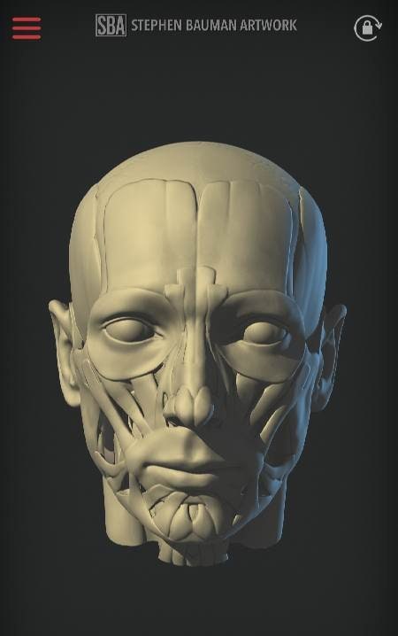 Head Study screenshot 2