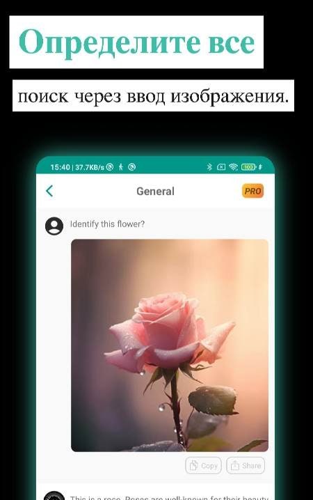 AI Chatbot 4o - Ask Anything screenshot 3