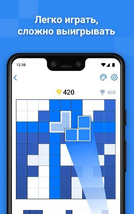 BlockuDoku gameplay screenshot 4
