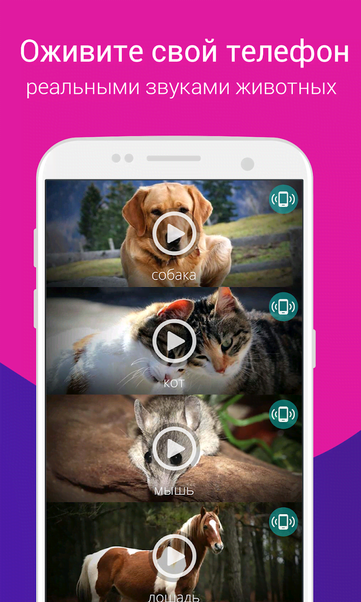 Animals Ringtones screenshot 2