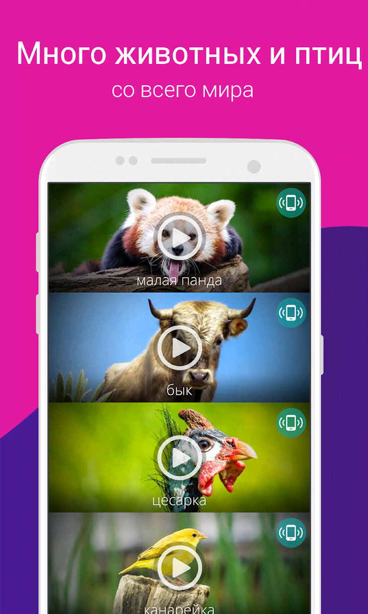 Animals Ringtones screenshot 3