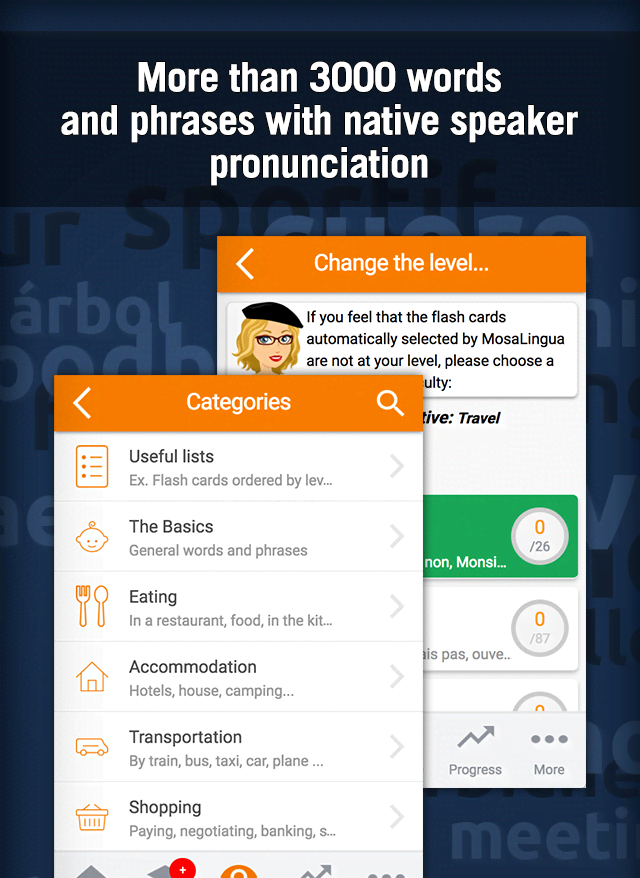 Learn French with MosaLingua screenshot 4