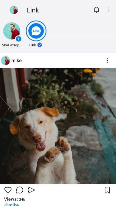 Link Messenger screenshot 1