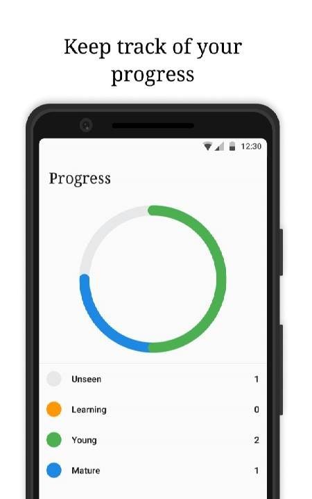 Review: intelligent revision screenshot 2