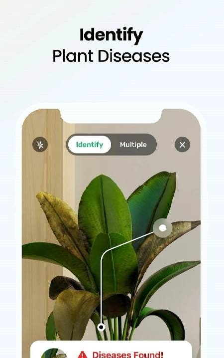 Plant App - Plant Identifier screenshot 3