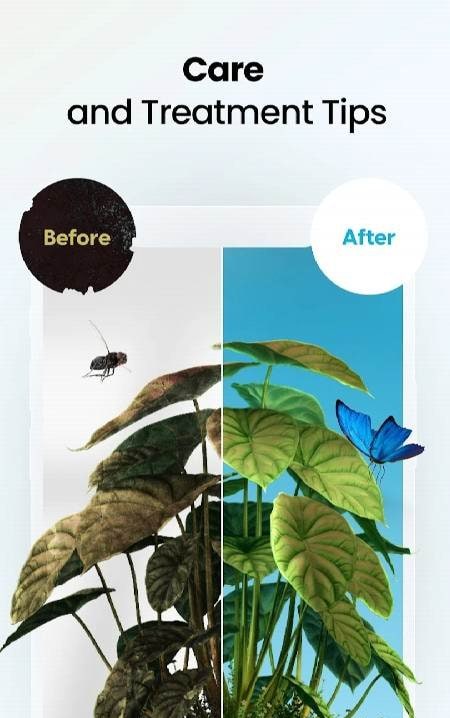 Plant App - Plant Identifier screenshot 4