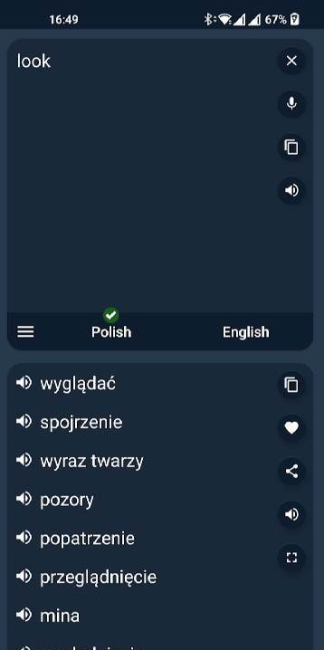Polish - English Translator screenshot 4