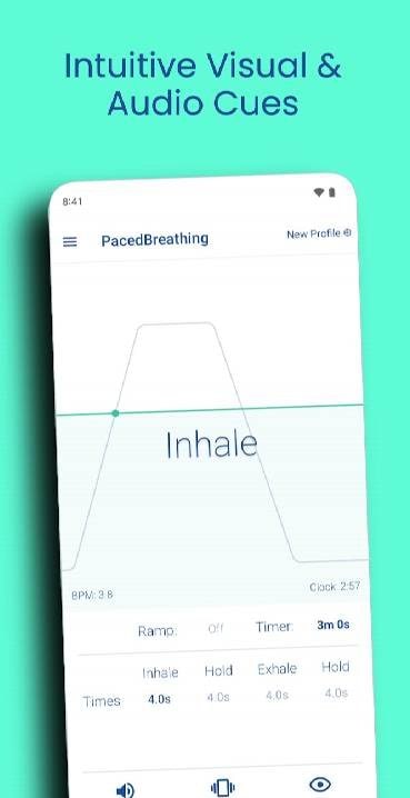 Paced Breathing screenshot 2