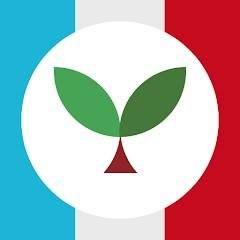 Learn French with Seedlang