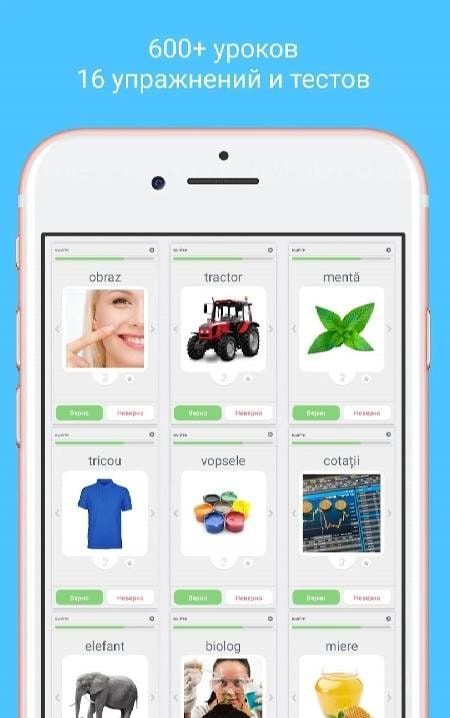 Learn Romanian with LinGo Play screenshot 3