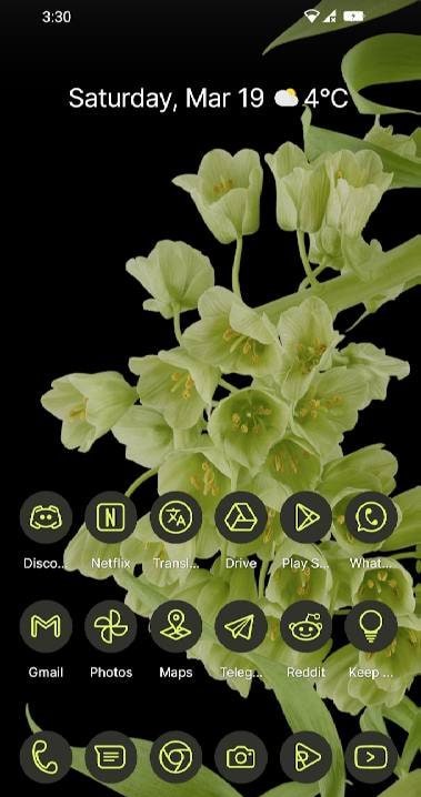 Lavien Adaptive For You preview 4
