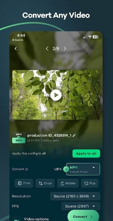 Video Converter - Remux screenshot 1