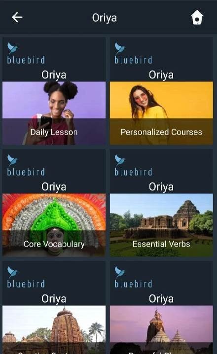 Learn Oriya. Speak Oriya. Stud screenshot 1