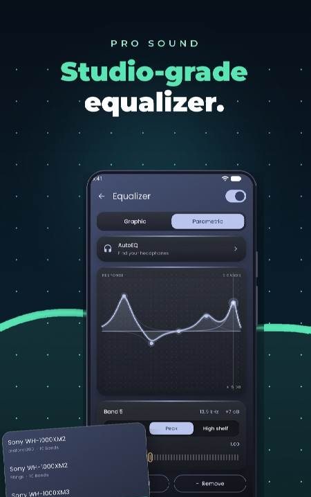 Ongaku — Offline Music Player screenshot 4