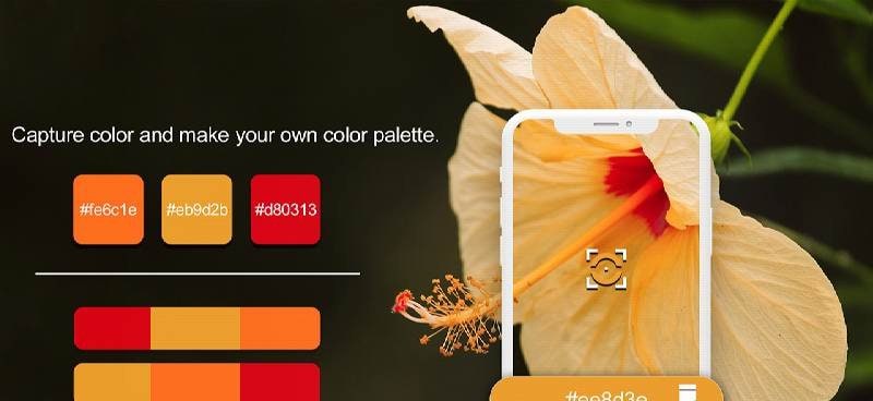 Color Detector - Camera Color Picker & Recognizer screenshot 1