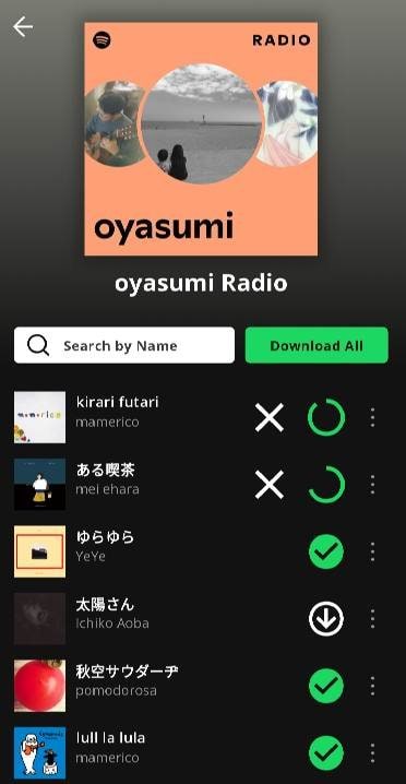 Spotify Downloader screenshot 2