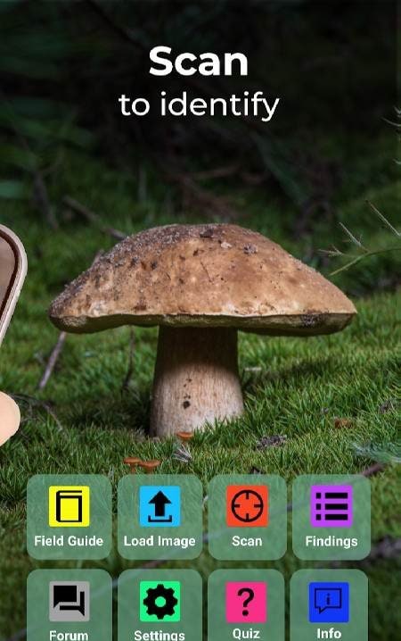 Mushroom Identification screenshot 2