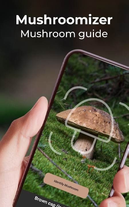 Mushroom Identification screenshot 1
