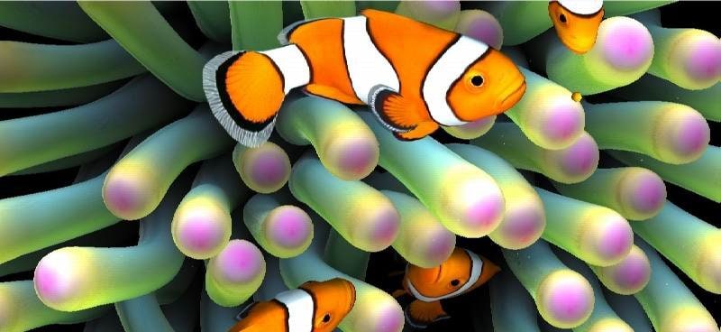 Sim Aquarium Live Wallpaper screenshot 2