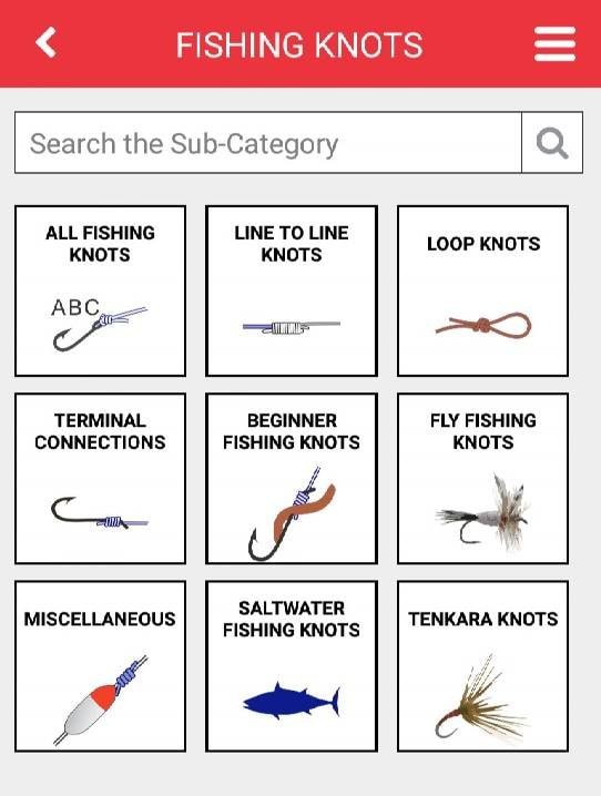 Net Knots screenshot 3