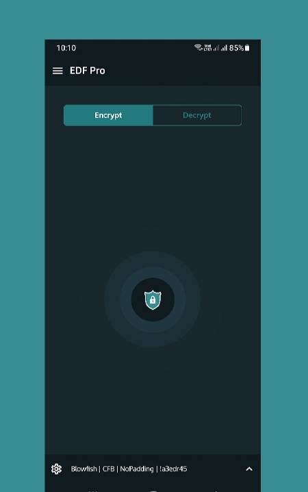 Encrypt Decrypt File Pro screenshot 1