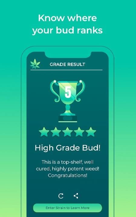 HiGrade: Cannabis Testing screenshot 3