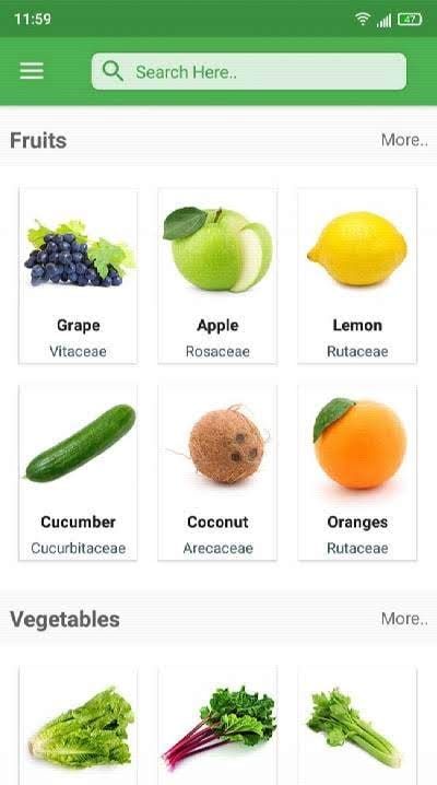Herbs Encyclopedia screenshot 2