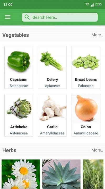 Herbs Encyclopedia screenshot 3