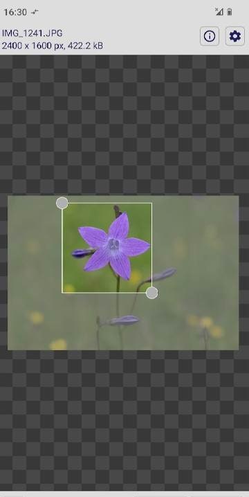 imaCrop - image crop and scale screenshot 1