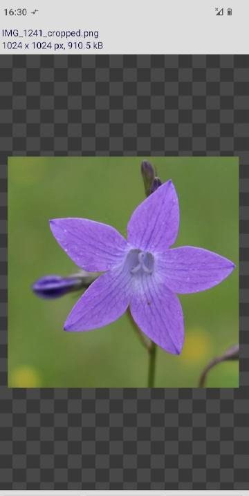 imaCrop - image crop and scale screenshot 2