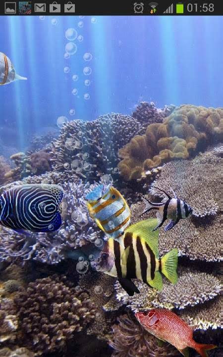 The Real Aquarium - Live Wallpaper screenshot 3