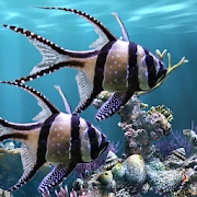 The real aquarium - Live Wallpaper
