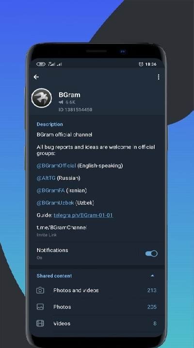 BGram screenshot 2
