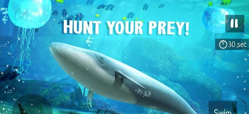 Blue Whale Simulator - Game screenshot 3