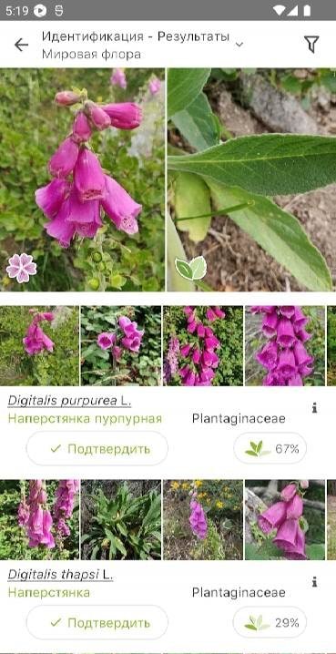 PlantNet Plant Identification screenshot 2