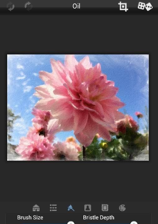 PhotoArtista - Oil screenshot 1