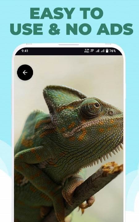 Modern Wallpapers Premium screenshot 2