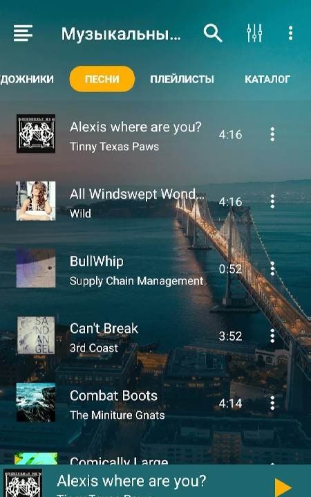 Music Player - JukeBox screenshot 3