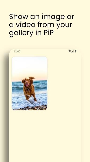Anything to PiP screenshot 3