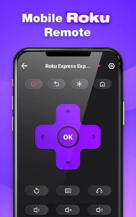 Roku Remote Control TV Remote screenshot 1
