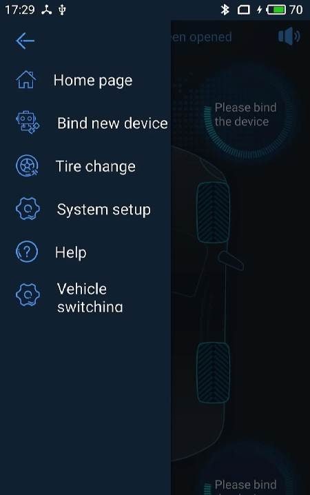 TPMSII screenshot 2