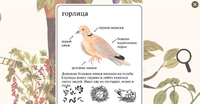 Little Mouse's Encyclopedia screenshot 4