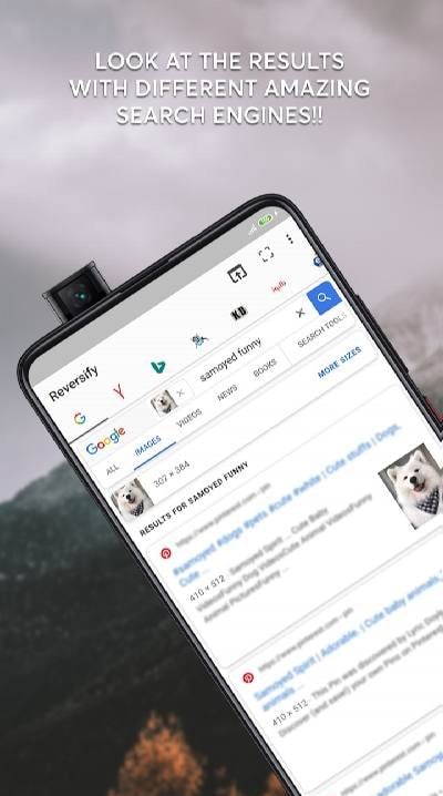 Reversify–Reverse Image Search screenshot 4