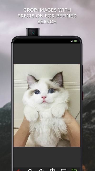 Reversify–Reverse Image Search screenshot 2