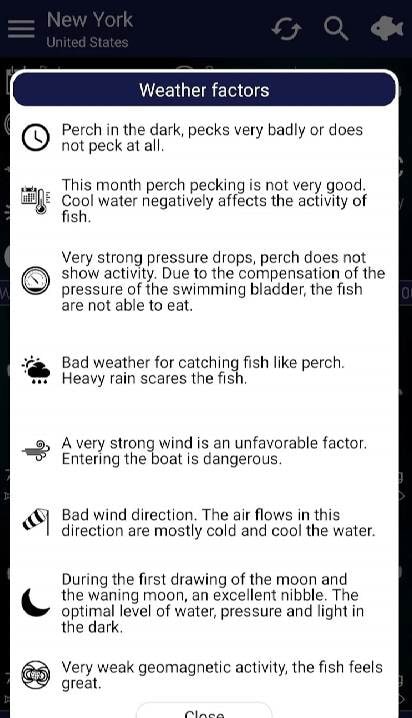 Fishing Forecast Screenshot 4: Demonstrates the interactive map feature, allowing users to pinpoint potential fishing spots.