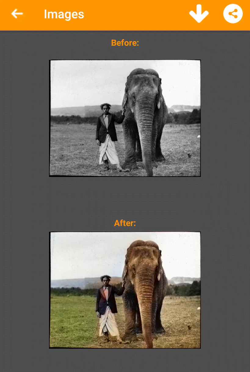 Black and White Photo Colorizer-Chromatix screenshot 4